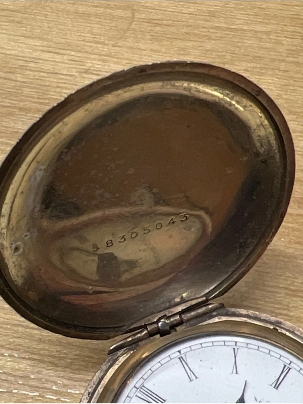 Vintage Elgin Double Hunter Case Gold Filled Ladies Pocket Watch Bird Design